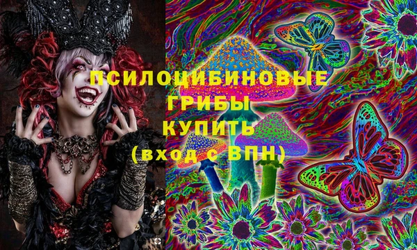 СК Абаза