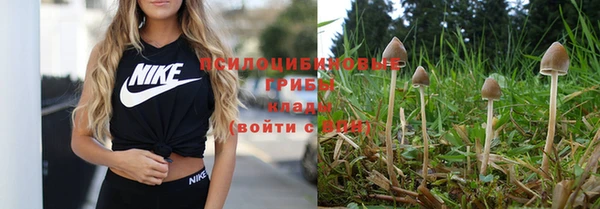 дурь Алзамай
