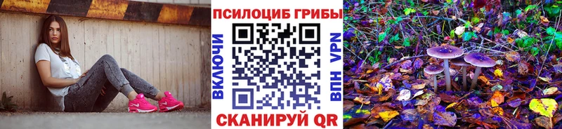 Псилоцибиновые грибы GOLDEN TEACHER  Духовщина 